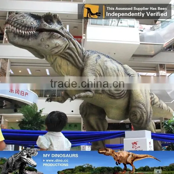MY Dino-C087 Museum realistic resin dinosaur models