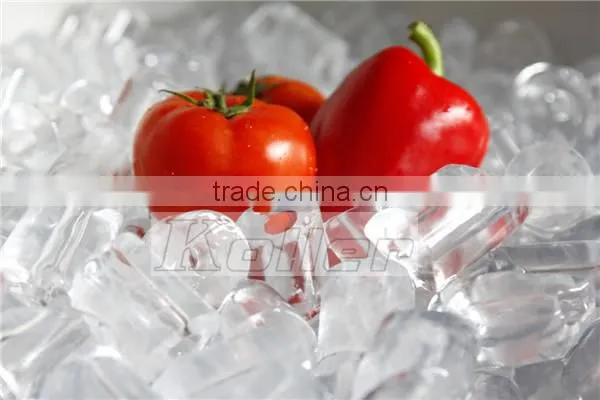 Koller Hot Sale 2TPD Maquina de hielo en cilindro TV20