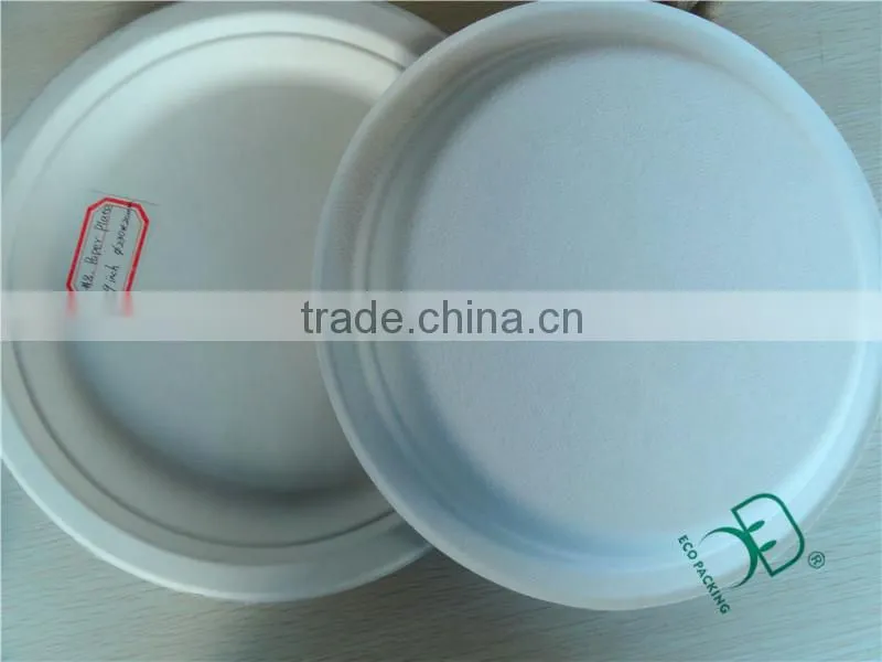 Paper disposable food serving trays for party