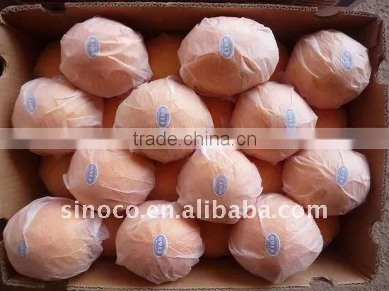 Buy Navel Oranges