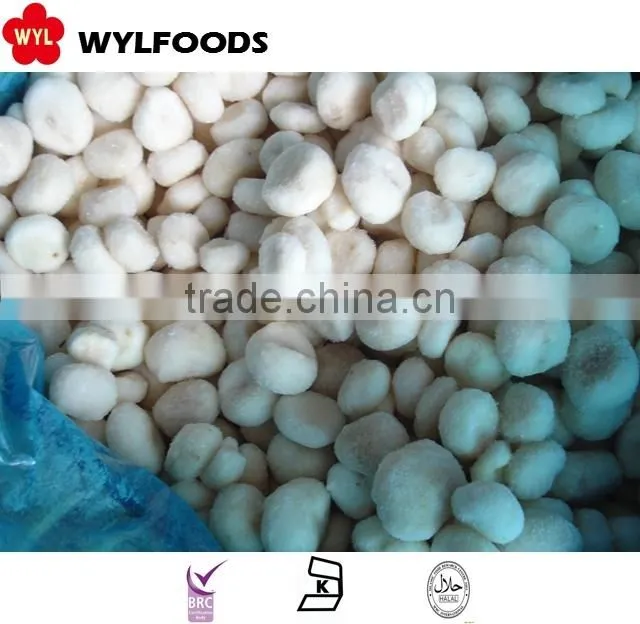 frozen shiitake mushroom quarter cuts slices 2015