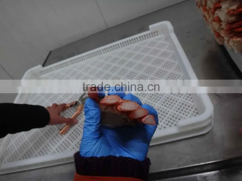 Frozen Red Snow Crab Section