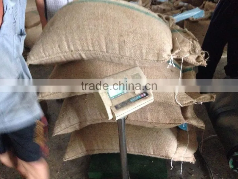 Manufacturer of Vietnam Wet Polished Robusta Green Coffee Beans Screen 18