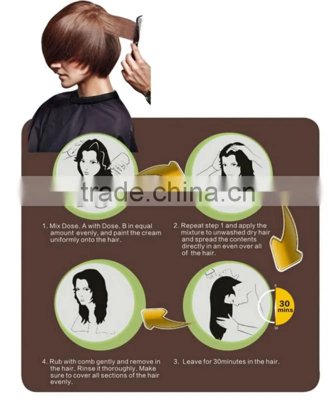 Healthy and green professional hair color cream/Ammonia Free Hair Color Brands
