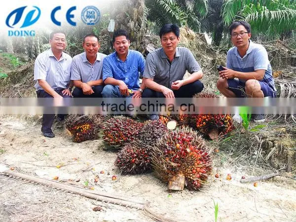 High efficiency sunflower cold press oil machine | essential oil distillation machine hot sale in Africa