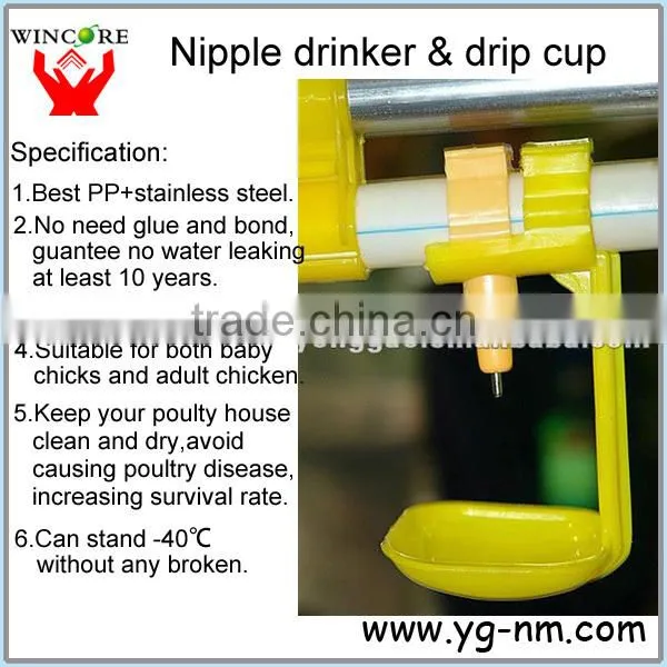 drinkers for chickens,automatic drinker for chicken