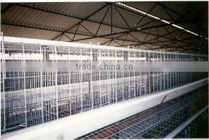 Poultry Turnkey Project