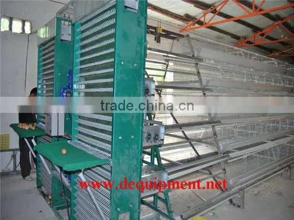 Design automatic equipment A type chicken house in poultry farm