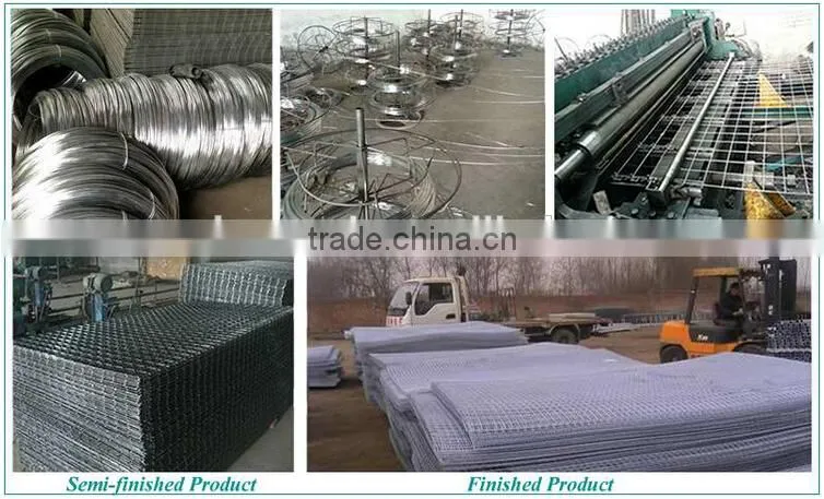 2*2 2*4 welded wire mesh panel / galanized welded wire mesh panel