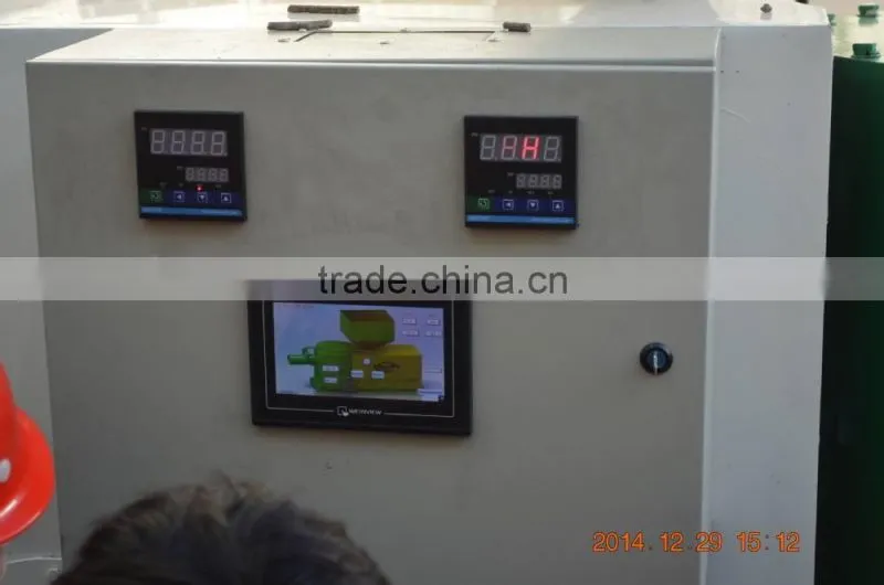 Clean Fuel Biomass Pellet Burner