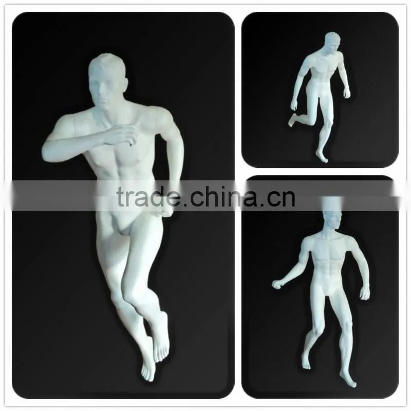 mannequin heads sport male mannequin