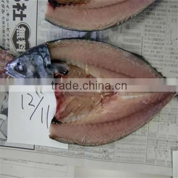 best fresh frozen mackerel fish