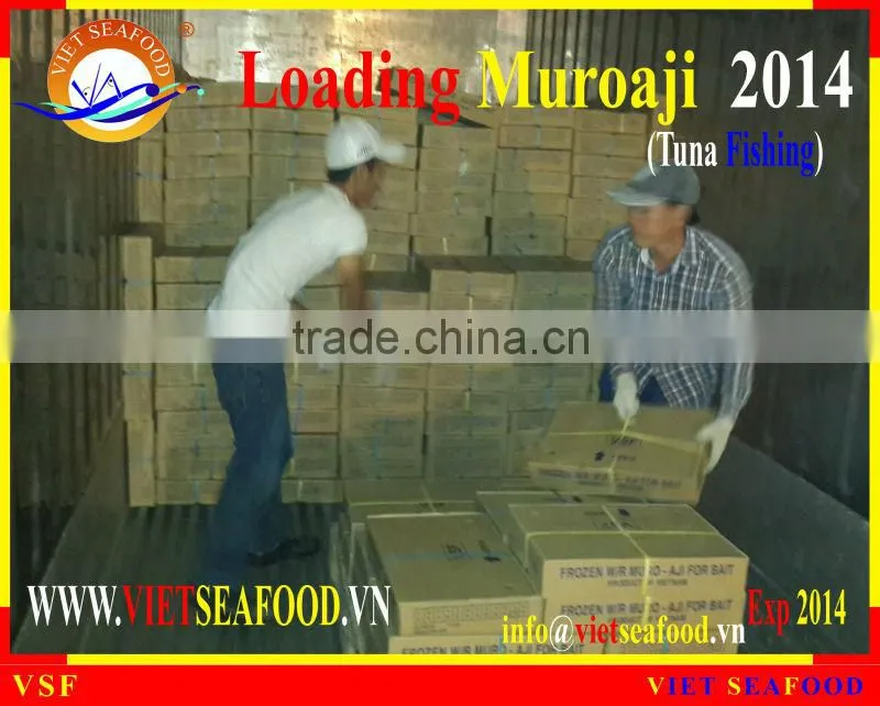 LOADING MUROAJI FOR TUNA BAIT