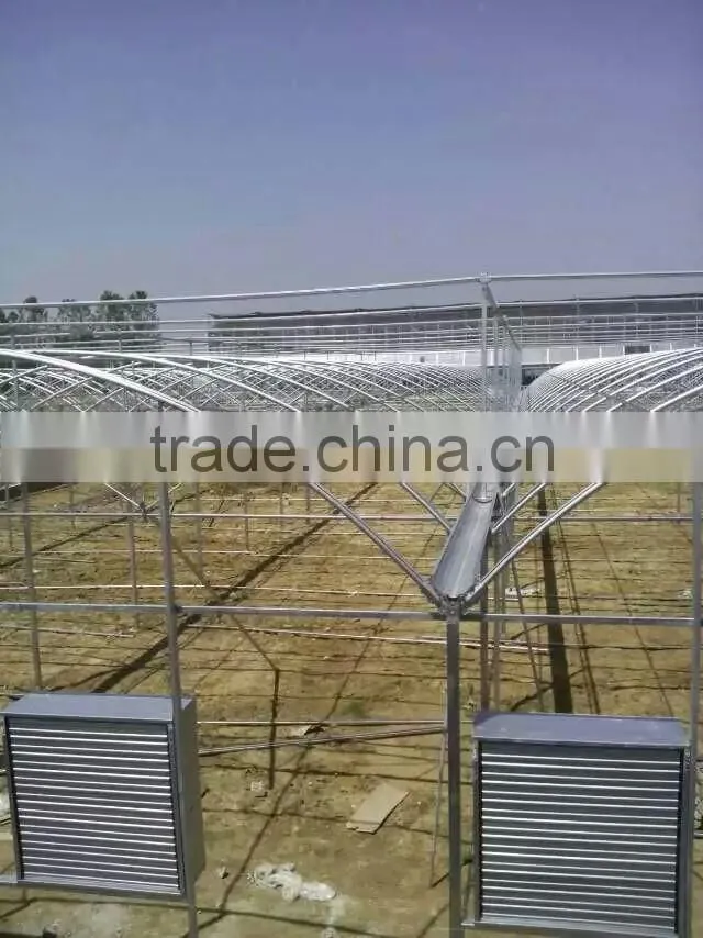Manufacturer Plastic Film Greenhouse Tunnel for Medical Plant