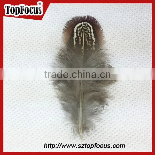lower price natural synthetic pheasant feathers for carnival costumes