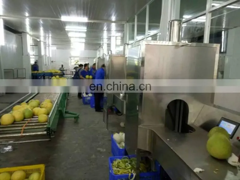 papaya Peeling Machine Skiving Machine peeler industrial machine