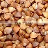 Organic buckwheat