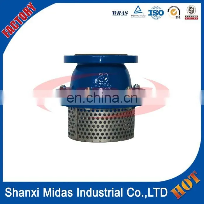 ductile cast iron di water pump foot valve