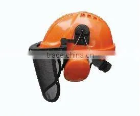 safety helmet with face shield and earmuffs ear muff