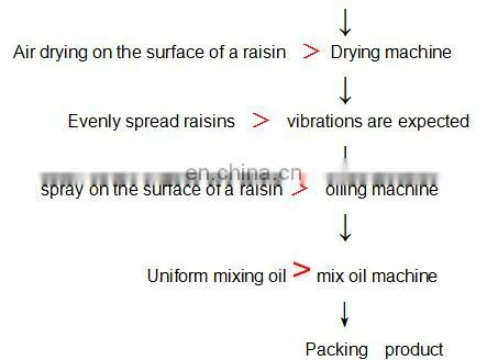 plant for raisin /dried grapes processing machine