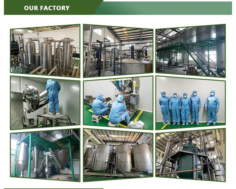 Nanjing Tessin Biotechnology Co., Ltd company overview - view 2