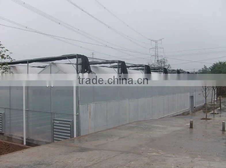 greenhouse roofs with plastic polycarbonate sheet