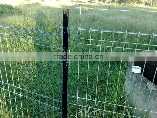 AU standard Black steel posts