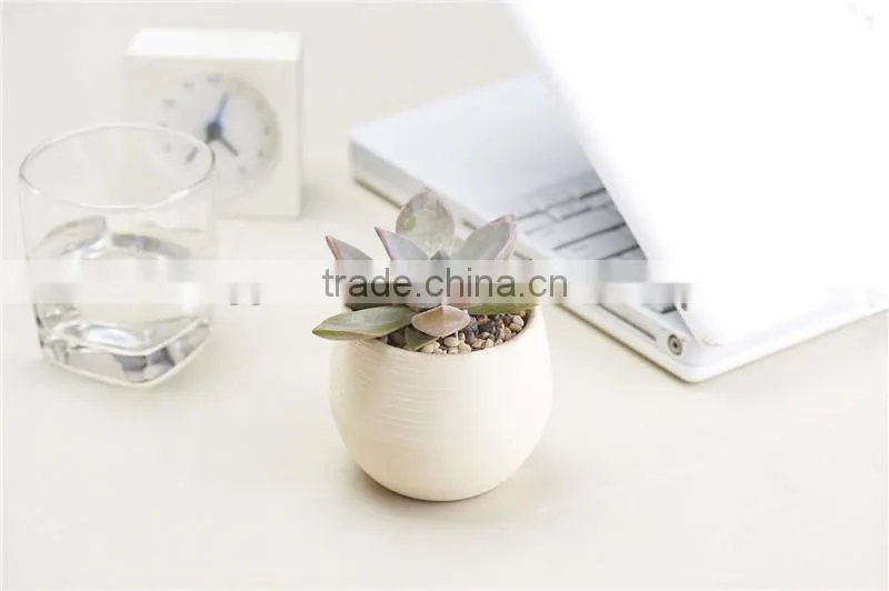 Small Plastic Flower planter pot custom made