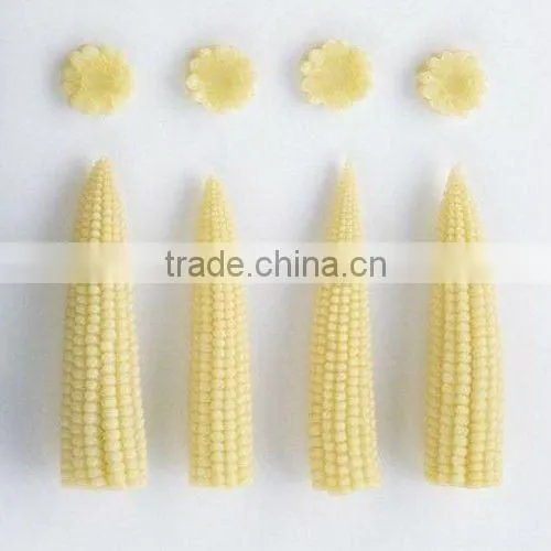 price canned baby corn in glass jar with top quality