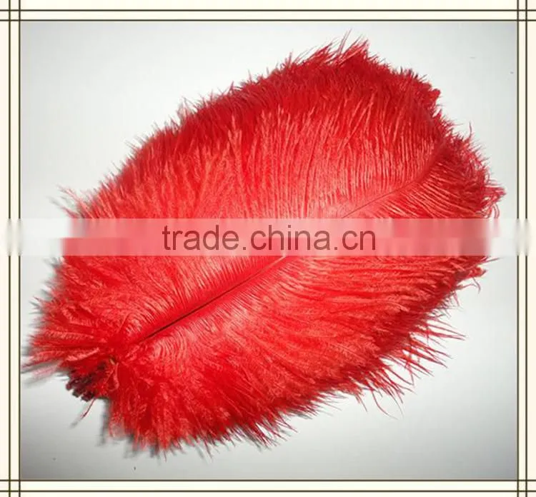 High Quality Real Natural Ostrich Feathers, decorative feathers wholesale