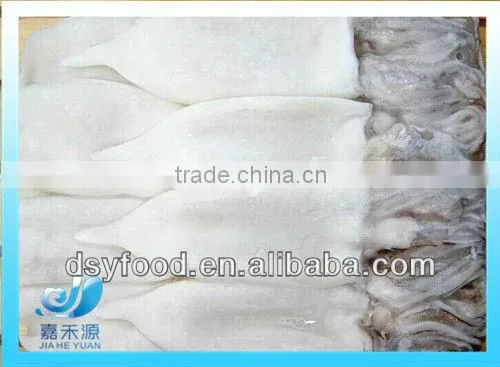 Frozen clean and fresh Fuzhou squid