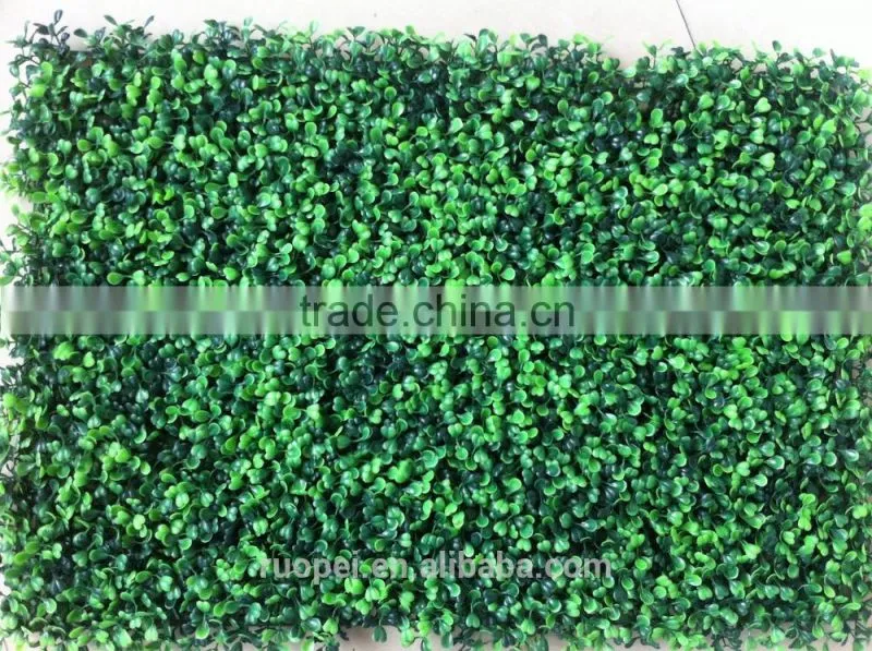 High quality Artificial boxwood mat/ hedge for decoration wall