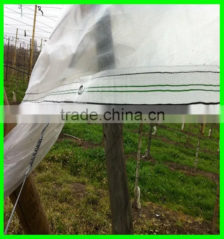 Suntex virgin PE anti-acid&alkail cherry trees protective impermeability cloth