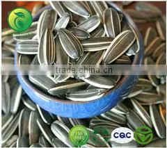 NON GMO Sunflower Seeds/Sunflower Seeds Kernel/Salted Sunflower Seeds