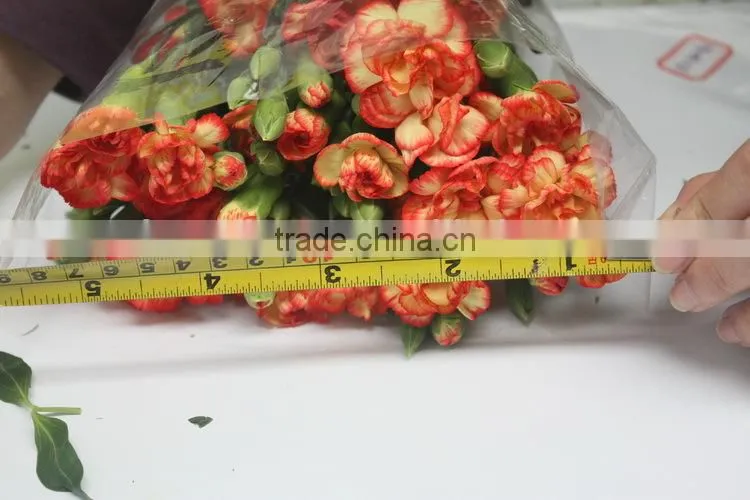 Elegant in smell hot sale fresh carnation for home decoration