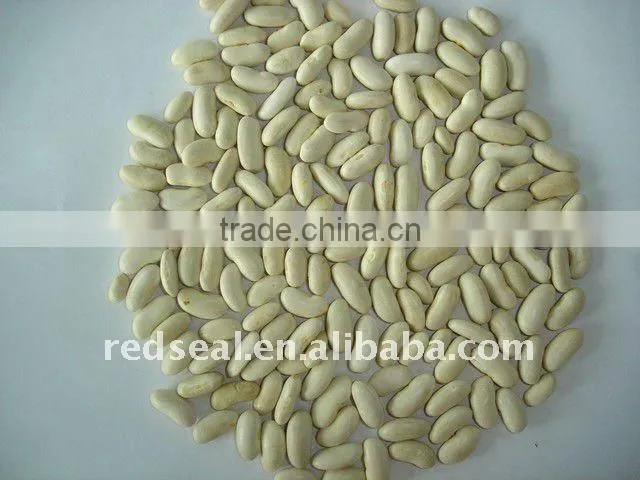 Low price large white kidney beans