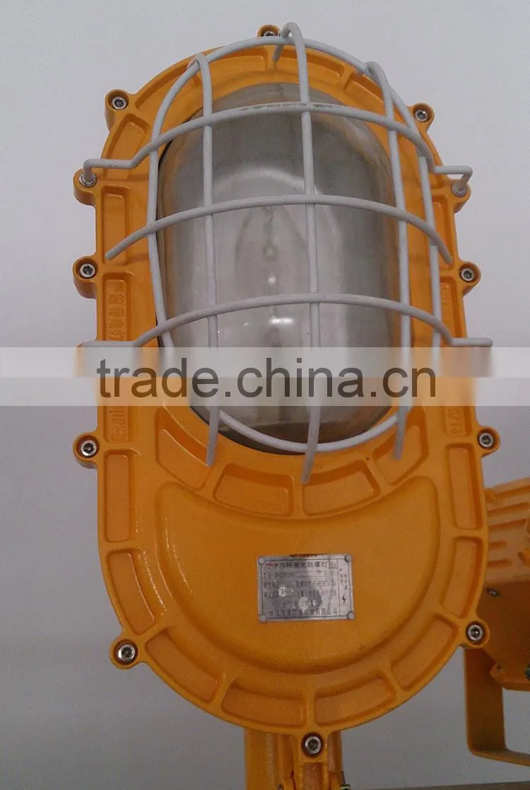Explosion-proof street lighting