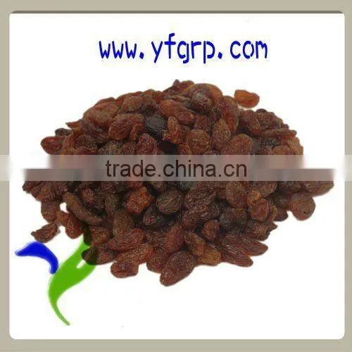 Jumbo Red Raisin