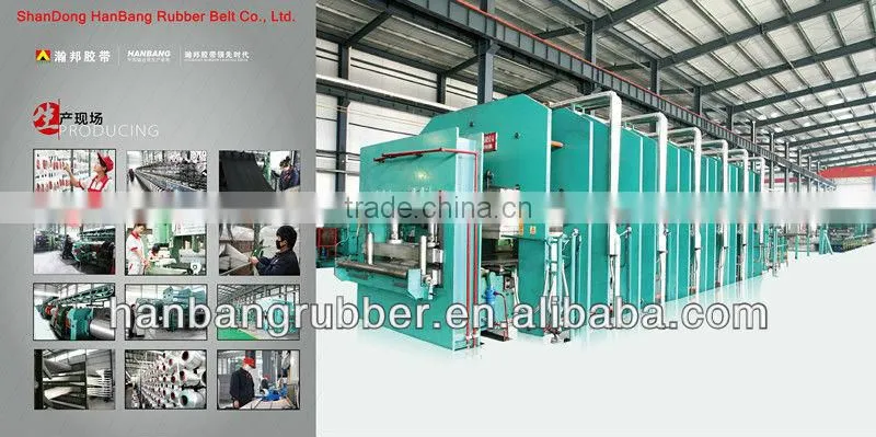 General Conveyor Belt Elevator belt