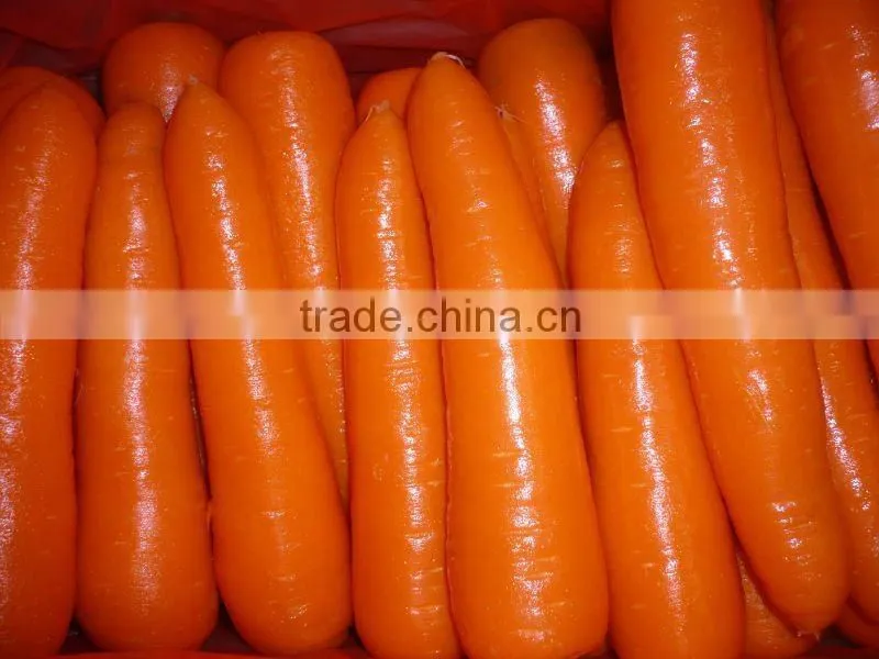 chinese carrot