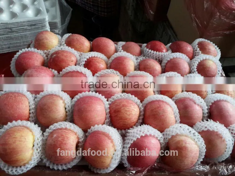 yantai fresh apple/china fresh apple