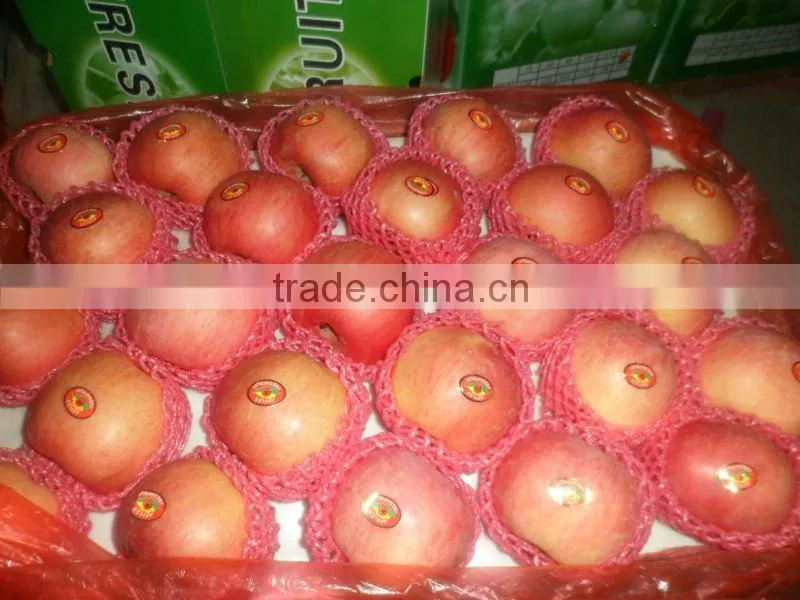 Chinese Fresh Fuji Apple NEW HOT!!