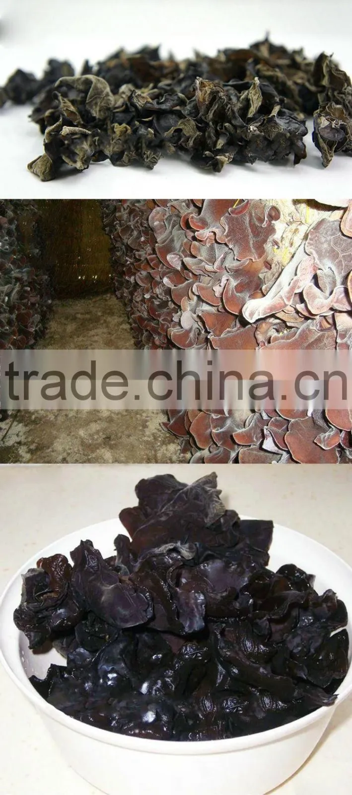 Wholesales Spring Thin Dehydrated white back fungus