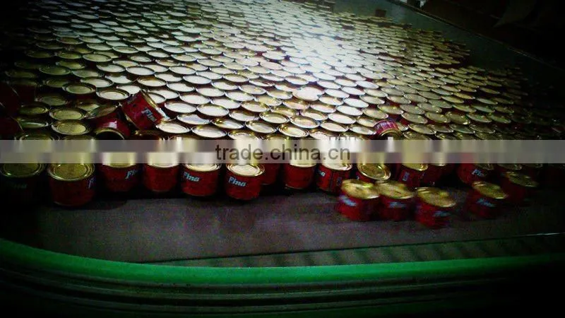 tomato paste can sizes,70g Fresh Brix 28-30% Cold Break Canned Tomato Paste