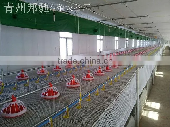 Bangchi plastic flooring for chicken farm