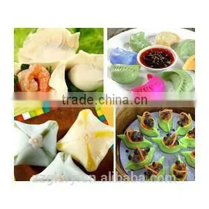 CE ISO Commerical Pelmeni Ravioli Samosa Dumpling Machine