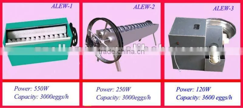 Popular hotsale Egg Farm Machine