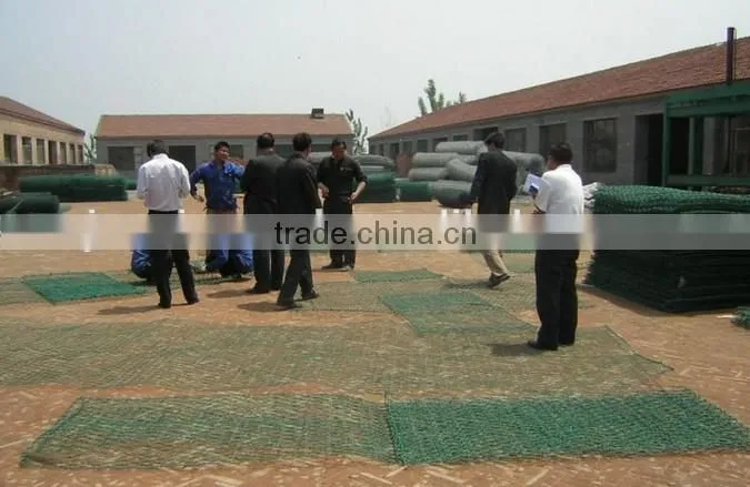 hexagonal chicken wire mesh/Best price gabion box hexagonal wire mesh anping supplier