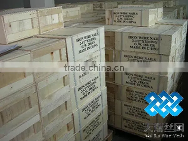 Galvanized iron nails (factory)