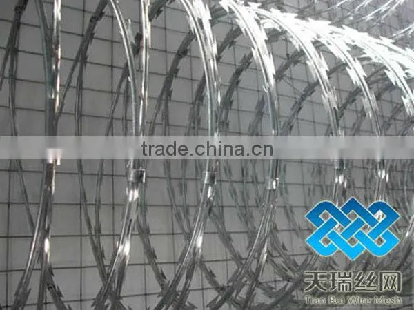 razor barbed wire/concertina wire for sale